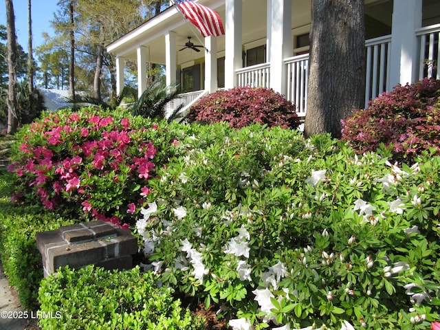 exterior details featuring a ceiling fan