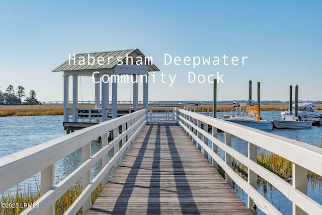 dock area with a water view