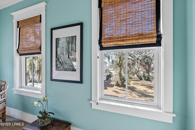 interior details with baseboards