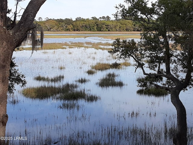 330 Fripp Point Rd, Saint Helena Island, SC 29920 - photo 37