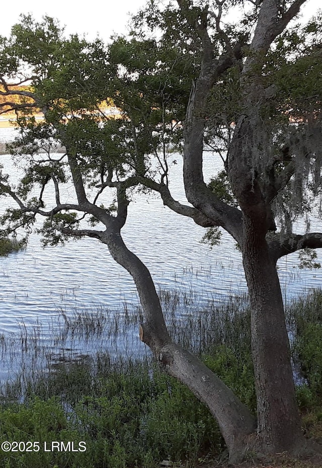 330 Fripp Point Rd, Saint Helena Island, SC 29920 - photo 39