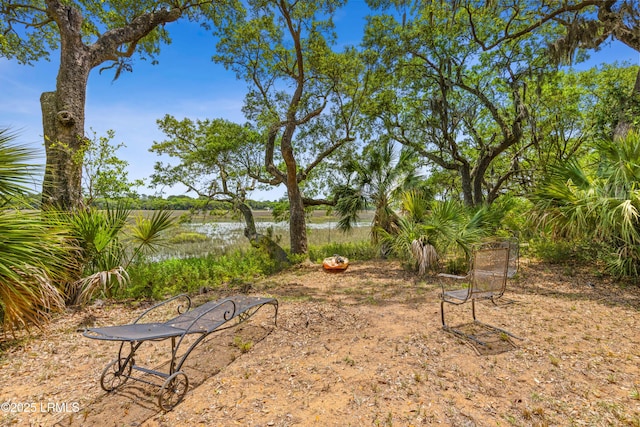 view of yard featuring a water view