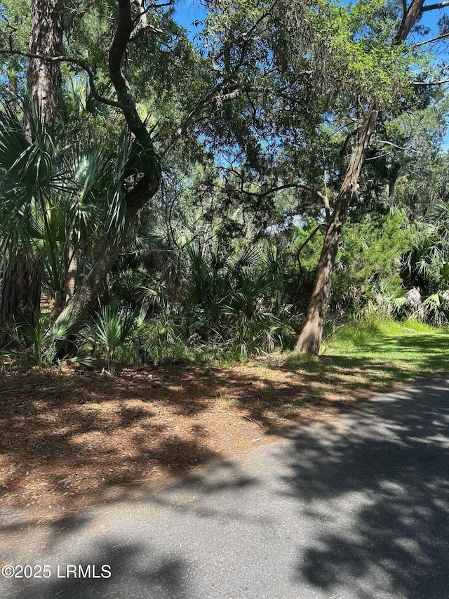 4 Fiddlers Dr, Fripp Island, SC 29920 - photo 6