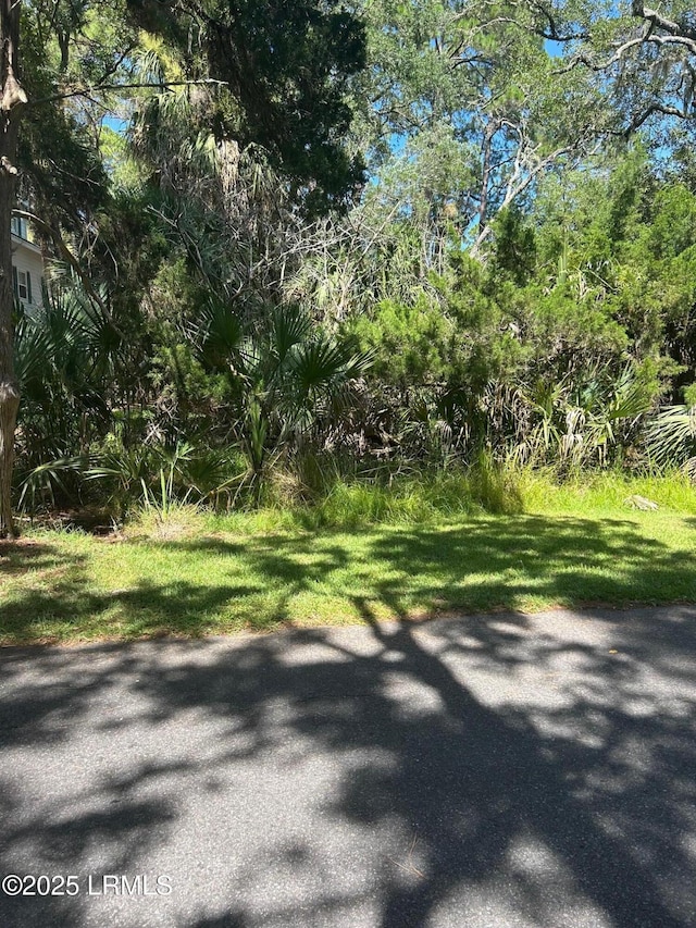 4 Fiddlers Dr, Fripp Island, SC 29920 - photo 5