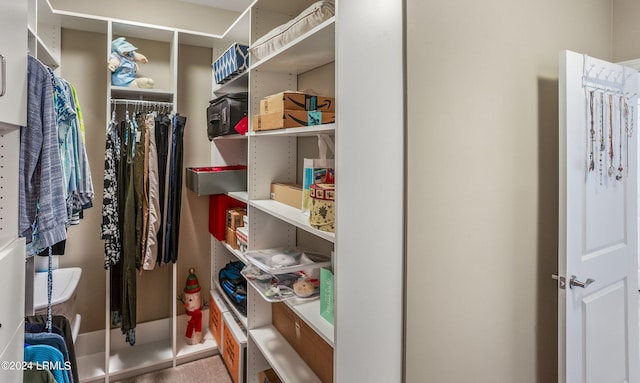 view of spacious closet