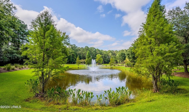 property view of water