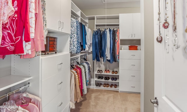 spacious closet with light carpet