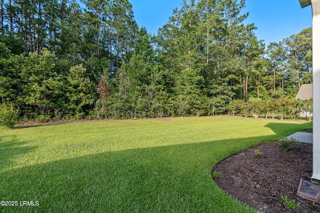 59 Gatewood Ln, Bluffton, SC 29910 - view of grassy yard