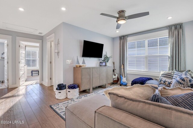 living room with ceiling fan and light wood-type flooring