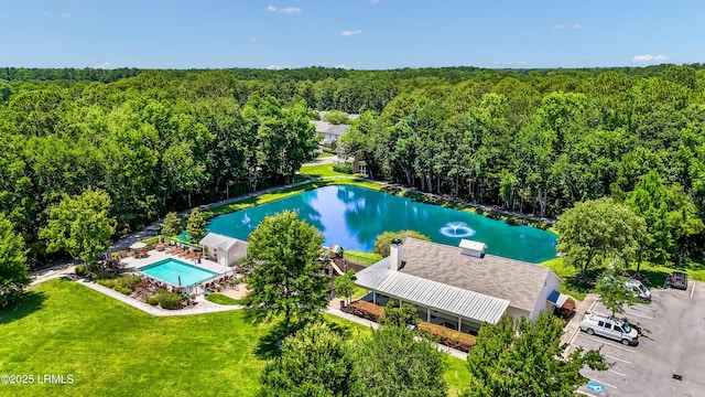 83 Plumgrass St, Bluffton, SC 29910 - bird's eye view of a forest and a pool