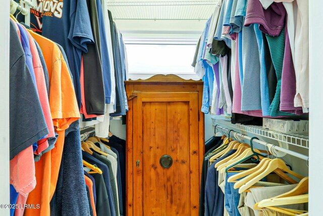 view of walk in closet