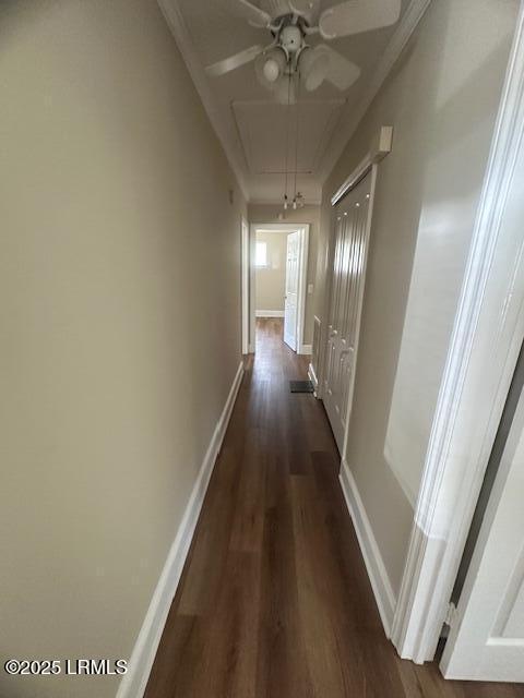 2009 Cypress St, Beaufort, SC 29906 - photo 8