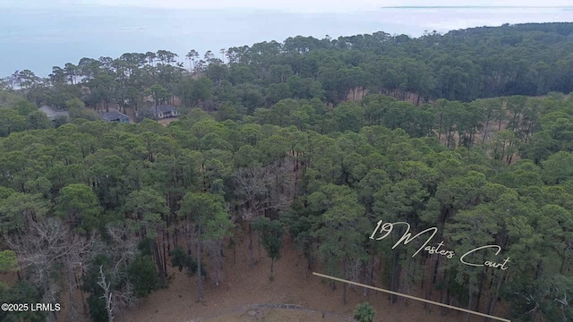 19 Masters Ct, Daufuskie Island SC, 29915 land for sale