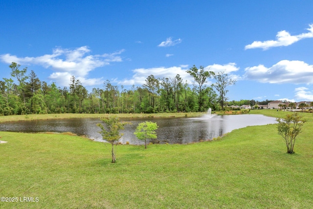 186 Pickett Mill Blvd, Okatie, SC 29909 - water view