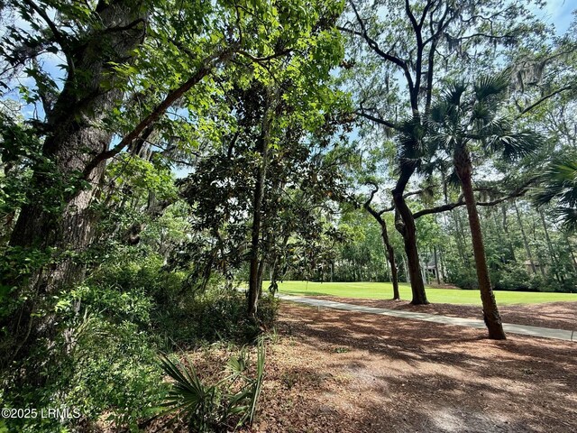85 Winding Oak Dr, Okatie, SC 29909 - photo 11