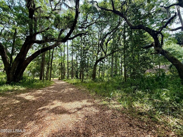 85 Winding Oak Dr, Okatie, SC 29909 - photo 7