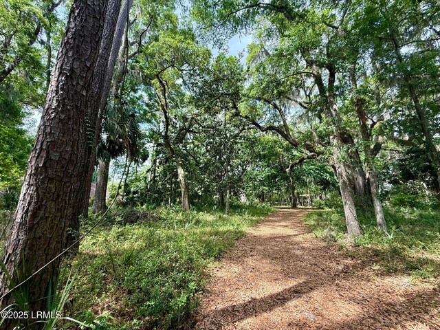 85 Winding Oak Dr, Okatie, SC 29909 - photo 10