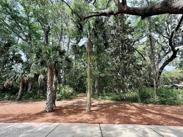 85 Winding Oak Dr, Okatie, SC 29909 - photo 18