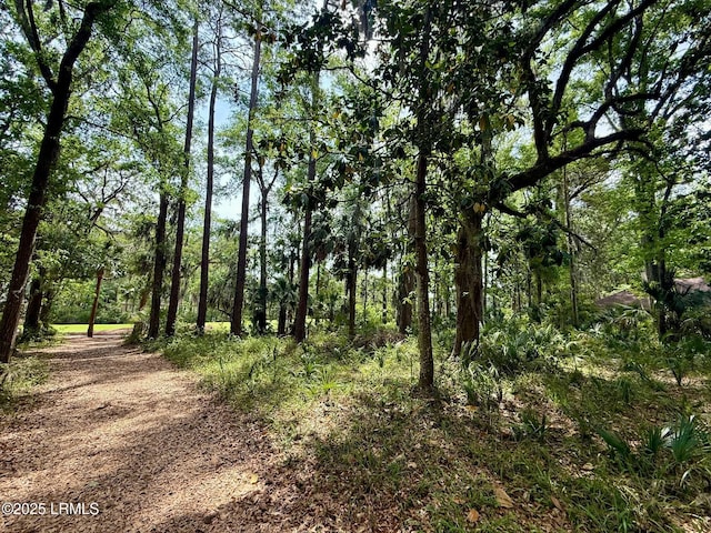 85 Winding Oak Dr, Okatie, SC 29909 - photo 8