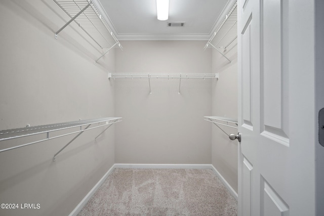 spacious closet featuring light carpet