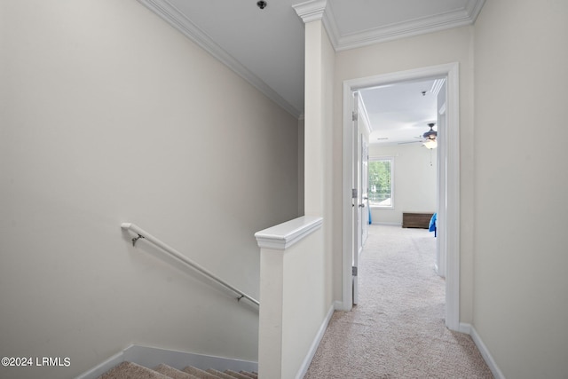 hall with light carpet and crown molding