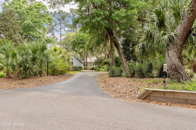2 Doe Pt, Dataw Island, SC 29920 - view of front of property featuring driveway
