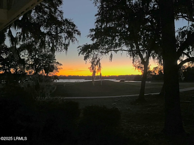 2 Doe Pt, Dataw Island, SC 29920 - view of yard at dusk