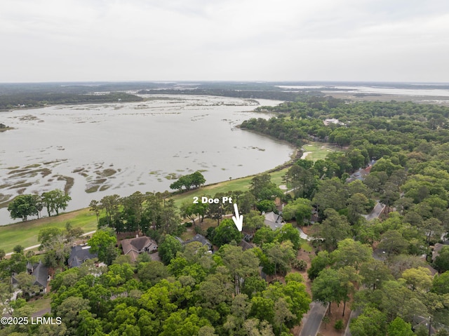 2 Doe Pt, Dataw Island, SC 29920 - aerial overview of property's location featuring a nearby body of water
