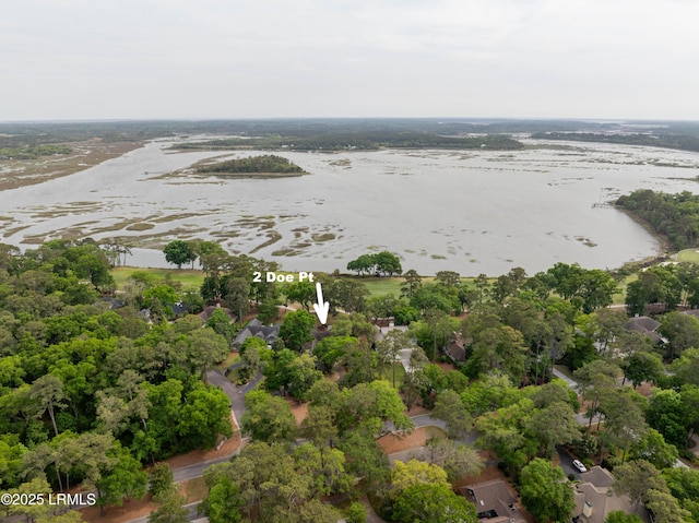 2 Doe Pt, Dataw Island, SC 29920 - aerial view of residential area featuring a large body of water
