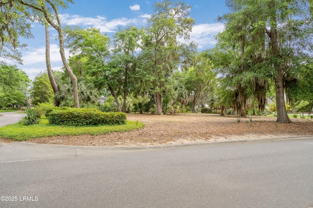 2 Doe Pt, Dataw Island, SC 29920 - view of asphalt road with view of scattered trees