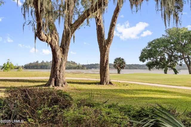 2 Doe Pt, Dataw Island, SC 29920 - photo 10
