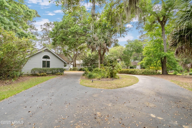 2 Doe Pt, Dataw Island, SC 29920 - view of front of home featuring curved driveway