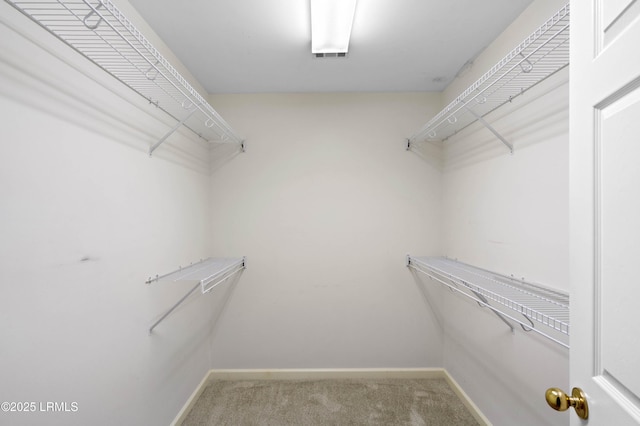 2 Doe Pt, Dataw Island, SC 29920 - walk in closet featuring carpet