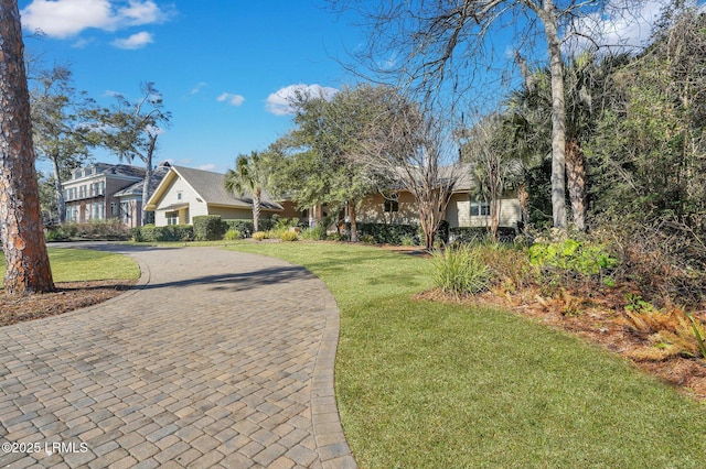 view of front of house with a front yard