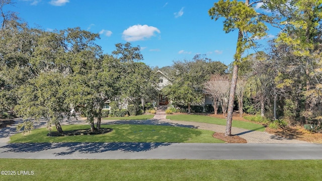 view of home's community with a lawn