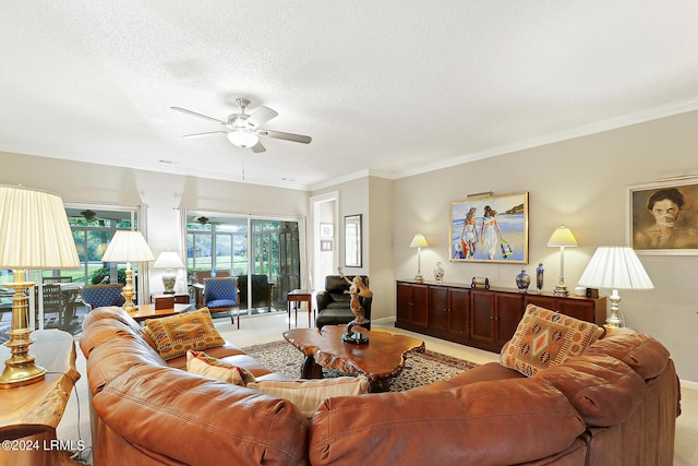 living room featuring ceiling fan, ornamental molding, and a textured ceiling