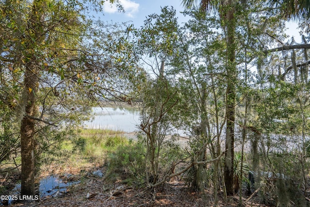 133 Fiveoaks Cir, Beaufort, SC 29902 - photo 2