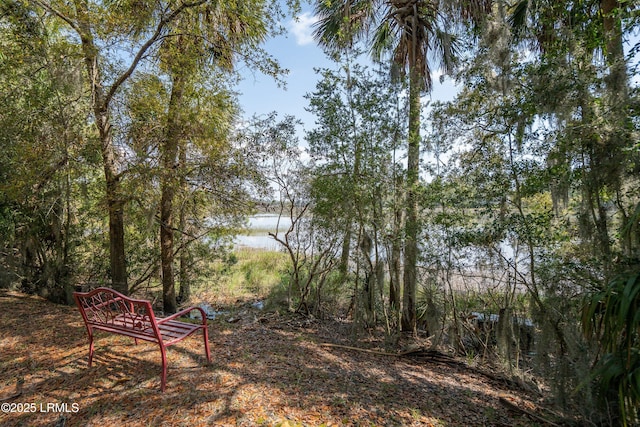 133 Fiveoaks Cir, Beaufort, SC 29902 - photo 15