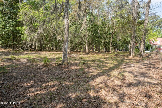 133 Fiveoaks Cir, Beaufort, SC 29902 - photo 14