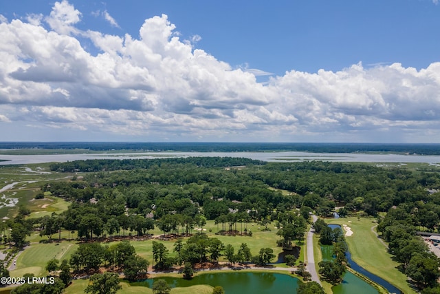 1 Wild Magnolia Ct, Okatie, SC 29909 - aerial view of a large body of water and a golf club