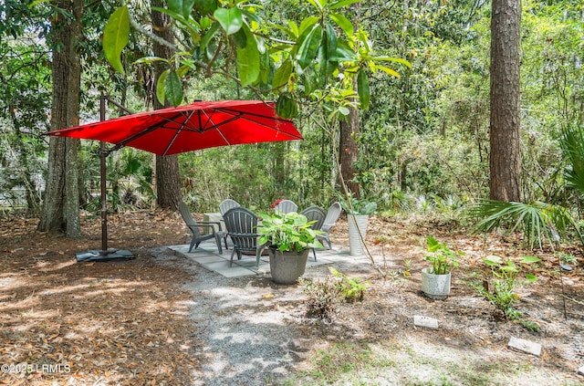 1 Wild Magnolia Ct, Okatie, SC 29909 - view of yard featuring a patio area