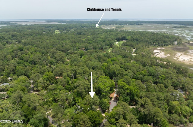 1 Wild Magnolia Ct, Okatie, SC 29909 - drone / aerial view of a heavily wooded area