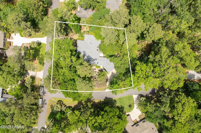 1 Wild Magnolia Ct, Okatie, SC 29909 - aerial view of property and surrounding area with property parcel outlined