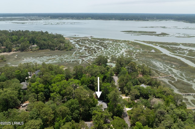 1 Wild Magnolia Ct, Okatie, SC 29909 - aerial overview of property's location featuring a nearby body of water