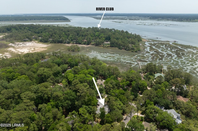 1 Wild Magnolia Ct, Okatie, SC 29909 - aerial view of a nearby body of water and a forest