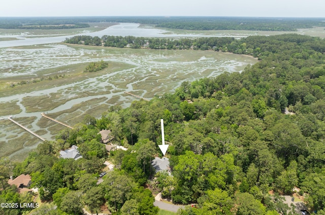 1 Wild Magnolia Ct, Okatie, SC 29909 - aerial view of a large body of water and a forest