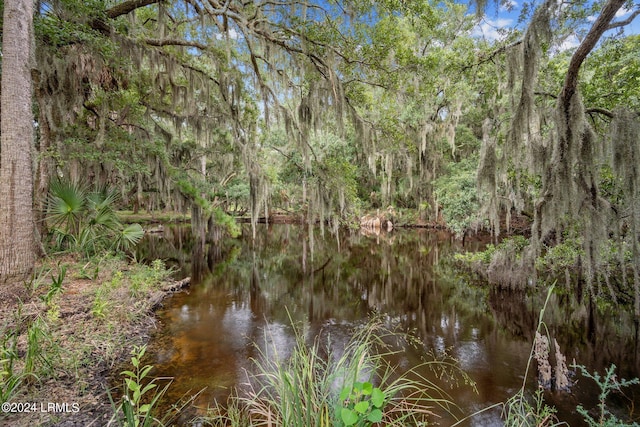 view of local wilderness