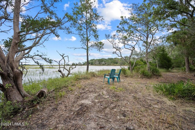 view of yard featuring a water view