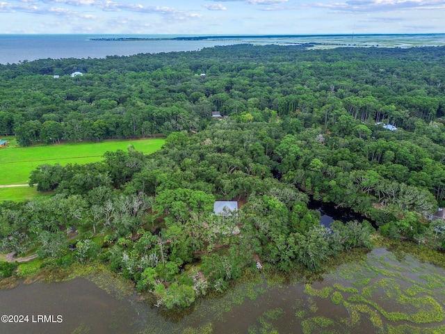 aerial view with a water view