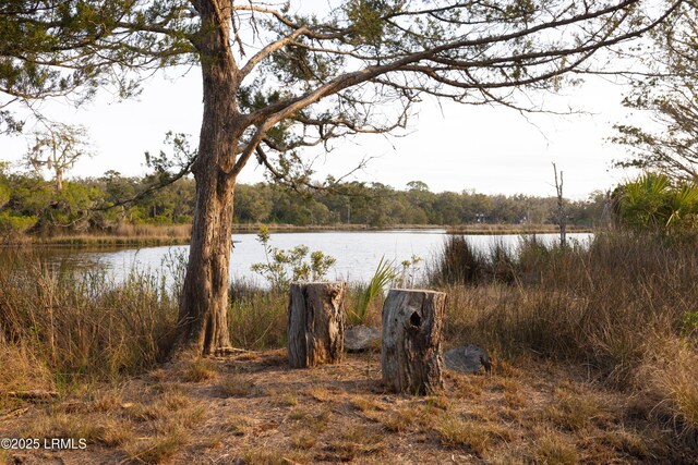 14 Vista Blvd W, Saint Helena Island, SC 29920 - photo 23